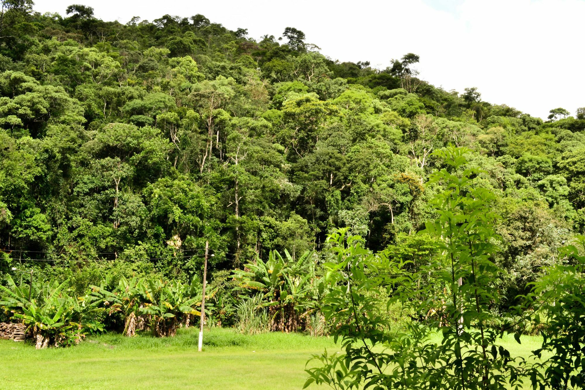 Vale Verde Penedo Hotel Exterior foto